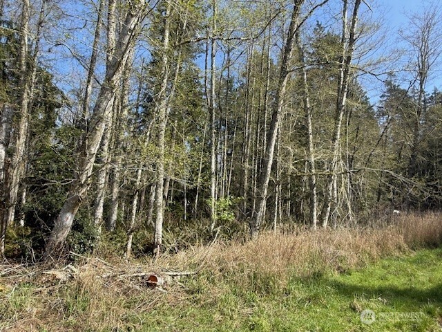 18 Ander Park Road Freeland, WA 98249 - Photo 2 of 4