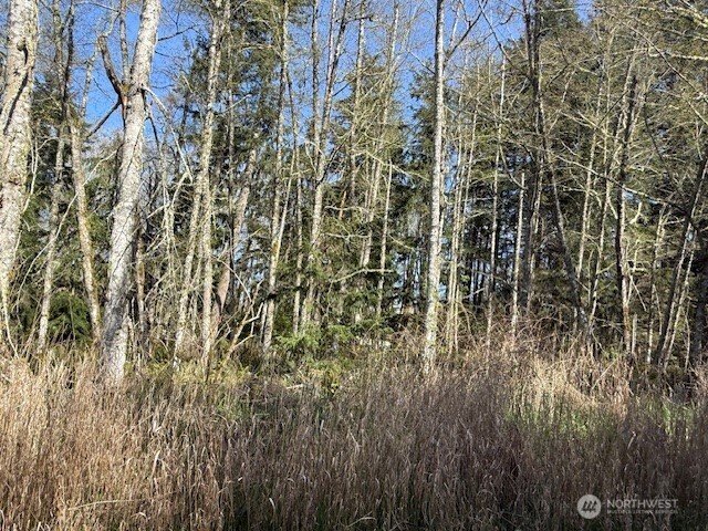 18 Ander Park Road Freeland, WA 98249 - Photo 3 of 4