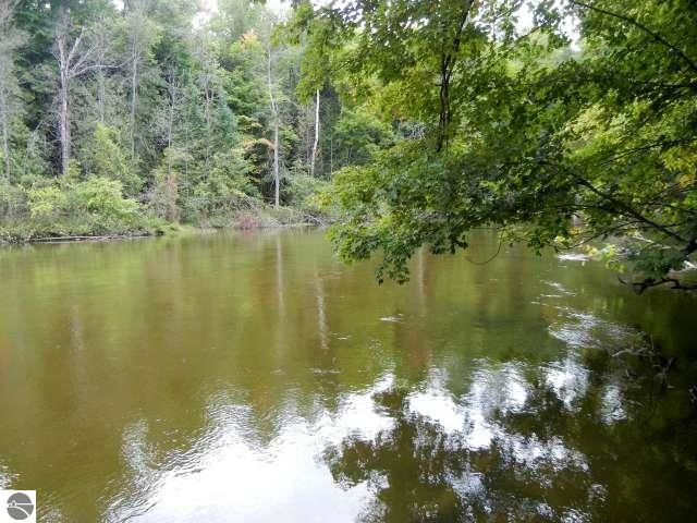 13491 Spring Creek Road Southwest Fife Lake, MI 49633 - Photo 4 of 35 1790668-3.JPG