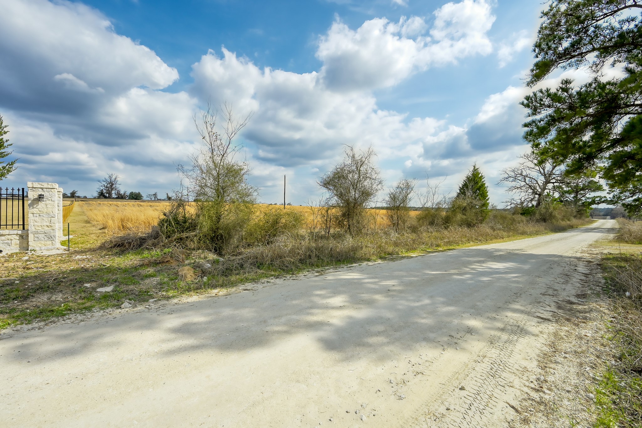 0 County Road 210 Anderson, TX 77830 - Photo 9 of 9 a view of yard with swimming pool and trees in the background