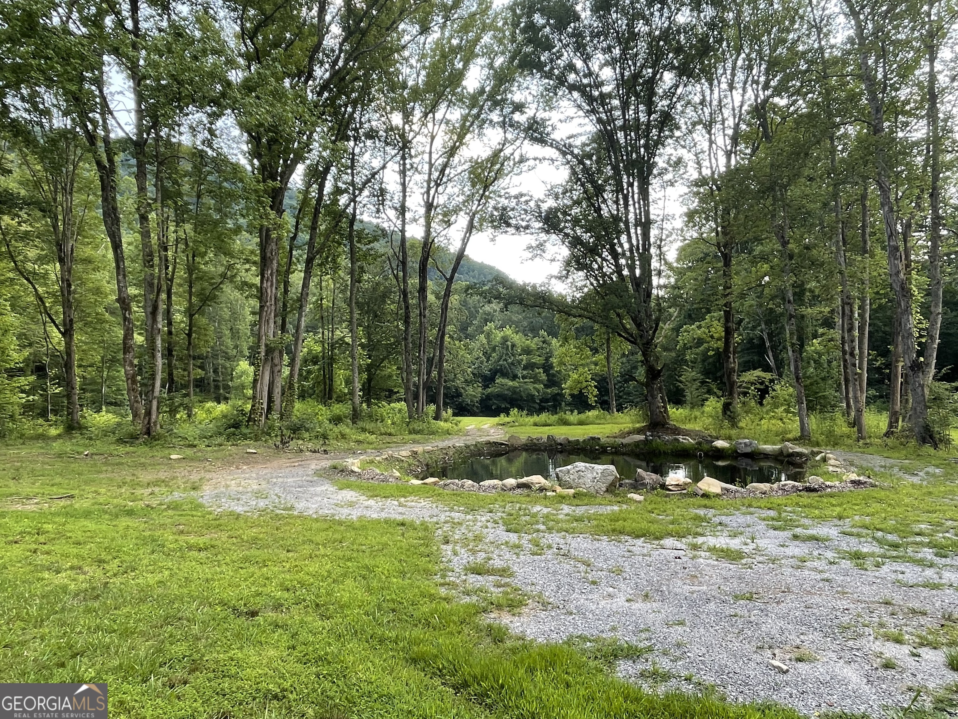 1449 Muskrat Creek Road Hayesville, NC 28904 - Photo 39 of 95