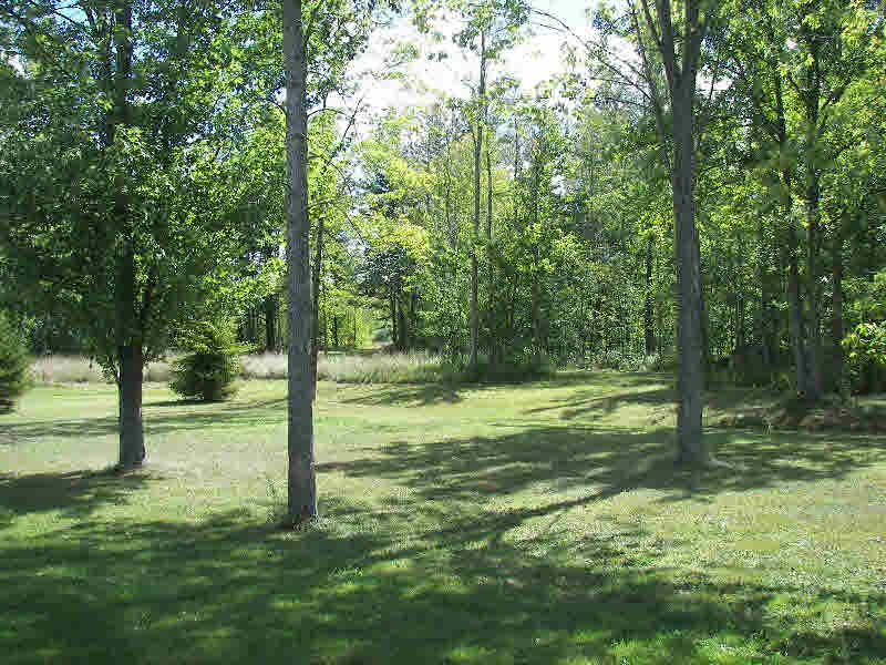 2523 Mt Forest Road Rhodes, MI 48652 - Photo 11 of 26