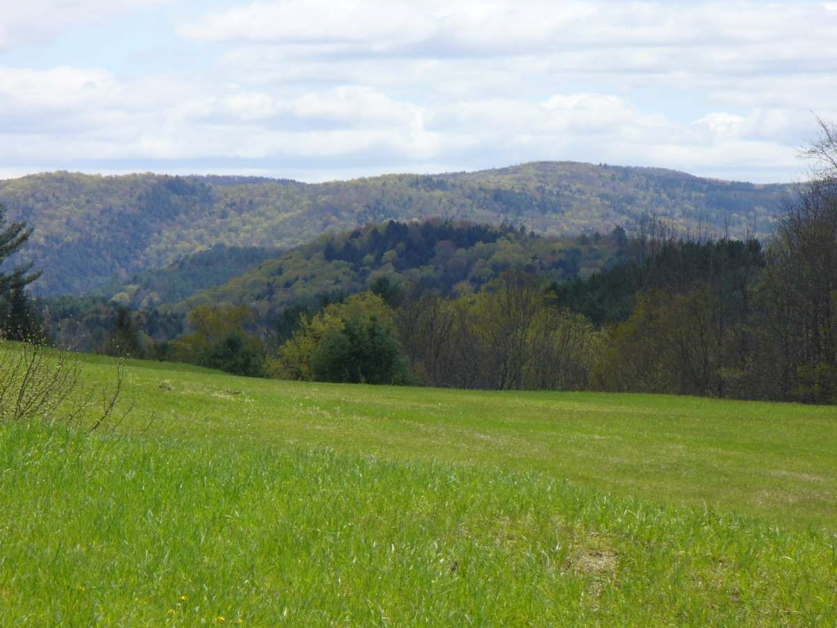 758 Dearing Road Bethel, VT 05032 - Photo 2 of 24
