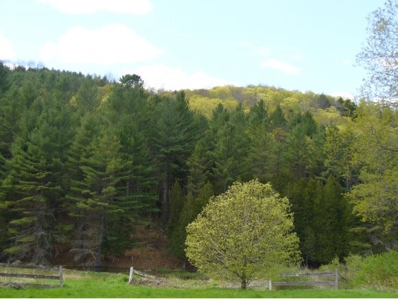 758 Dearing Road Bethel, VT 05032 - Photo 6 of 24