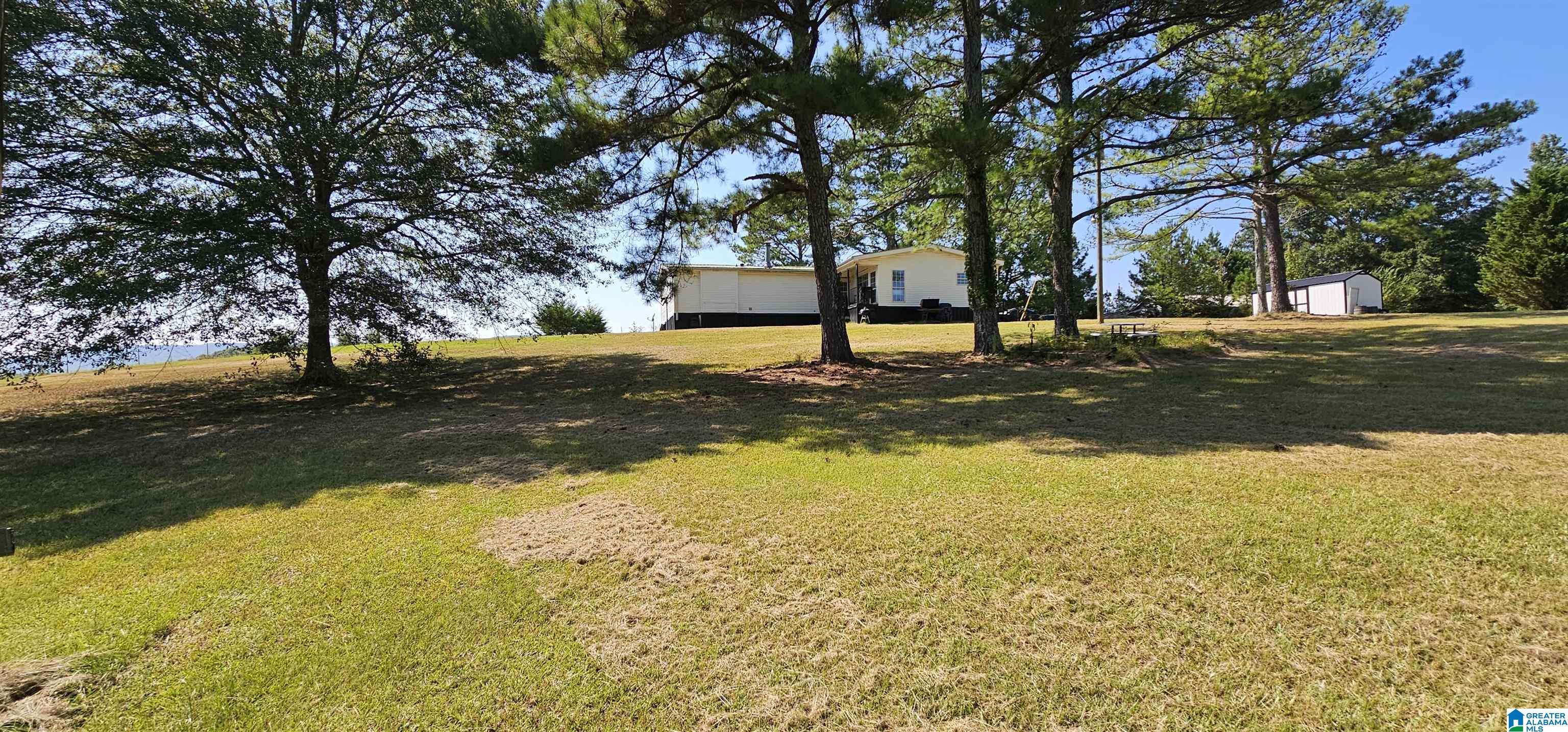 1218 Beason Cove Road Steele, AL 35987 - Photo 4 of 20