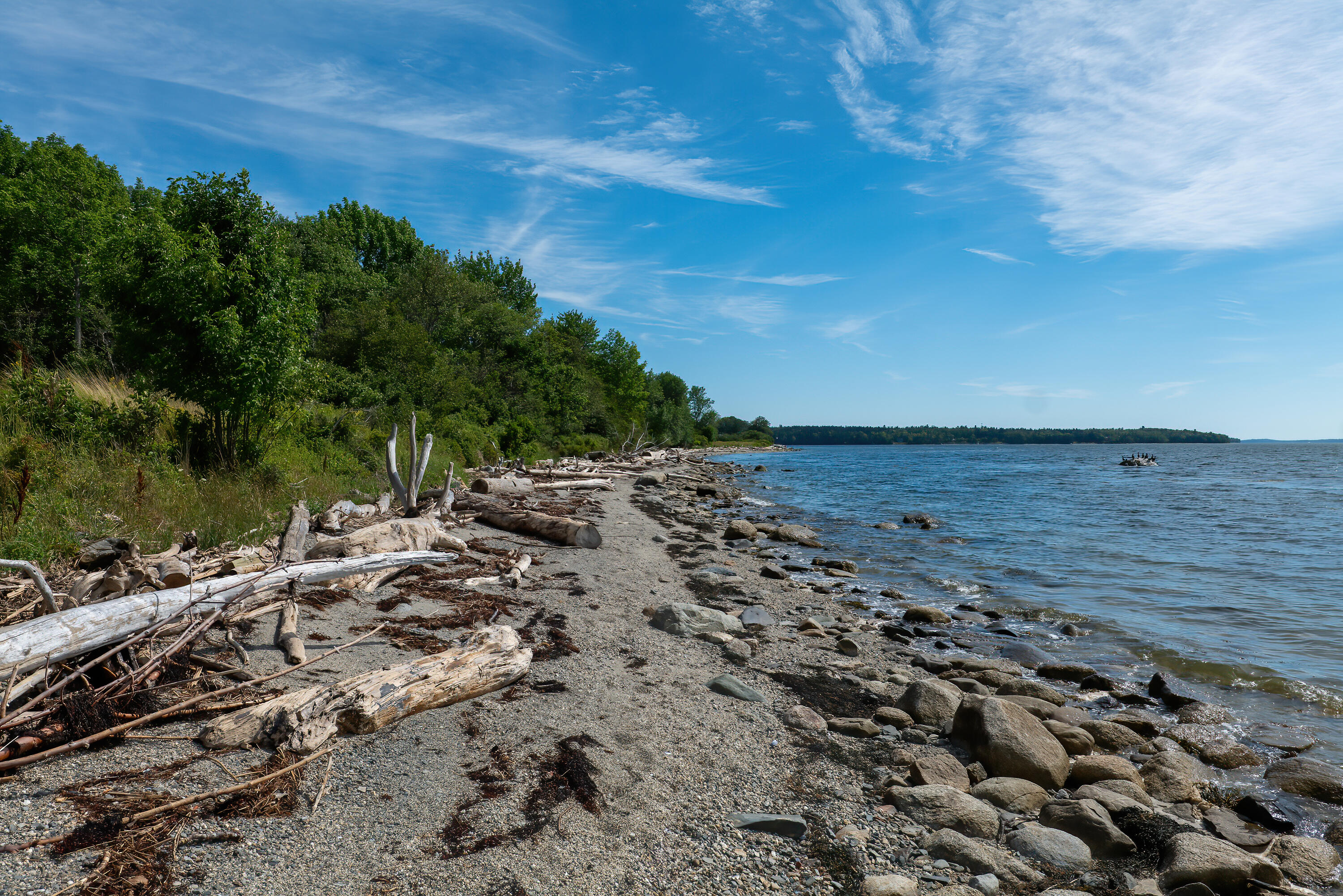 1320 Castine Road Penobscot, ME 04476 - Photo 7 of 32 02-Meyer_s Land Castine HiRes-DTP