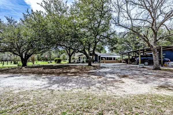 a view of a garden with a tree