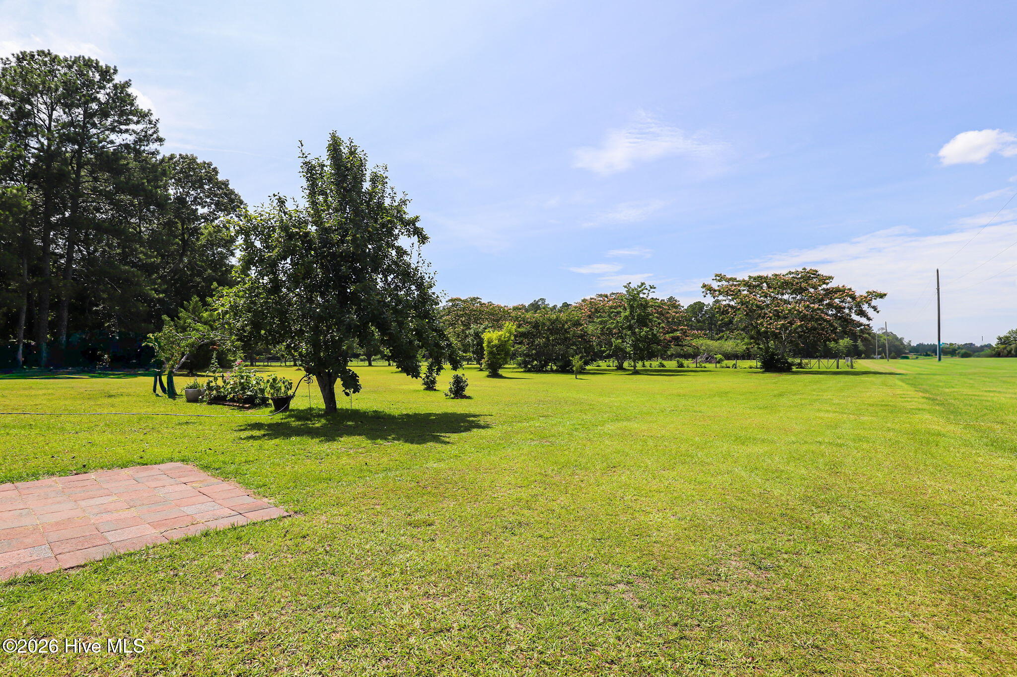 248 Mt Calvary Road Trenton, SC 29847 - Photo 29 of 34