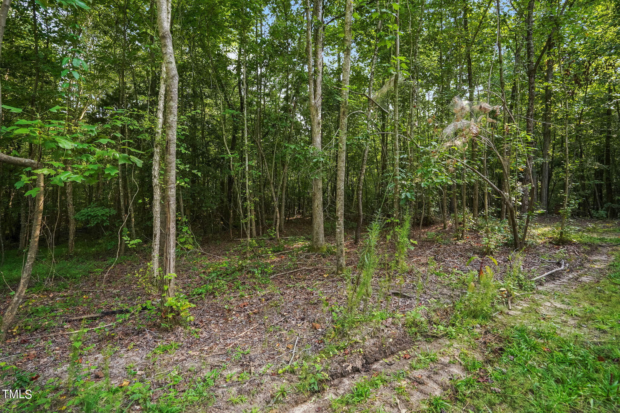 285 Old Eason Road Zebulon, NC 27597 - Photo 9 of 16
