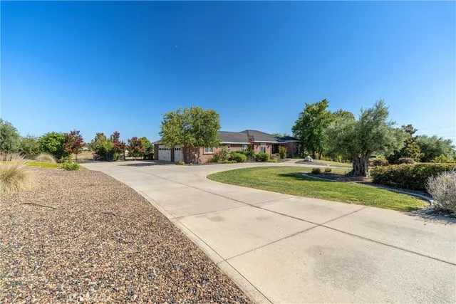 a view of a yard with a tree