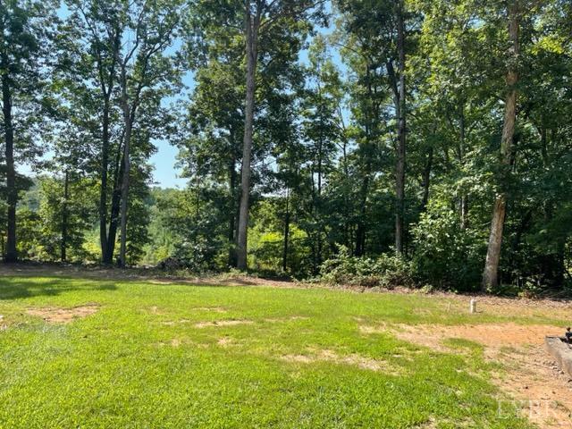 255 Hunting Ridge Drive Hurt, VA 24563 - Photo 4 of 15 Gallery Image 4