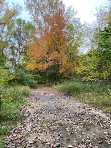 $199,900 | 10005 50th Street, Grand Junction, MI 49056