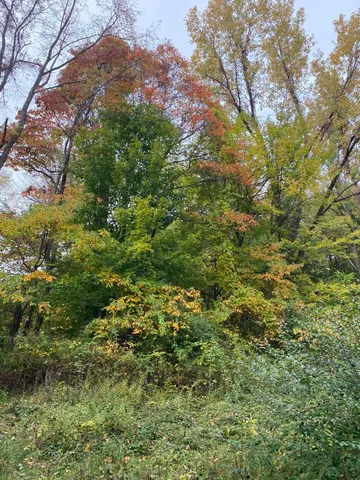 $199,900 | 10005 50th Street, Grand Junction, MI 49056