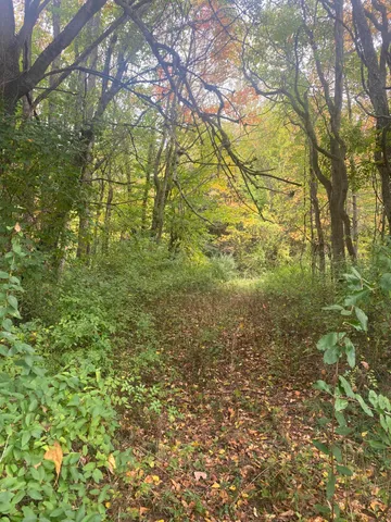 $199,900 | 10005 50th Street, Grand Junction, MI 49056