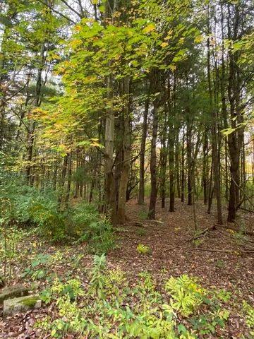 $199,900 | 10005 50th Street, Grand Junction, MI 49056