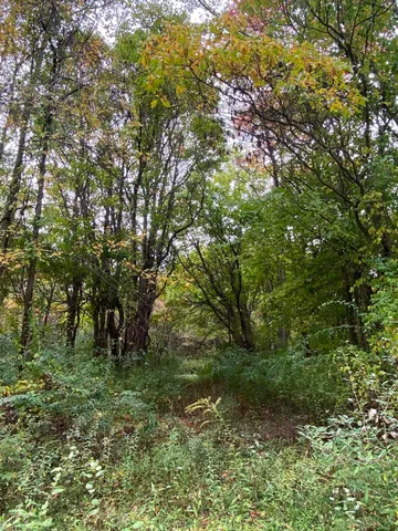 $199,900 | 10005 50th Street, Grand Junction, MI 49056