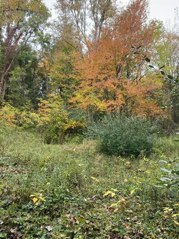 $199,900 | 10005 50th Street, Grand Junction, MI 49056