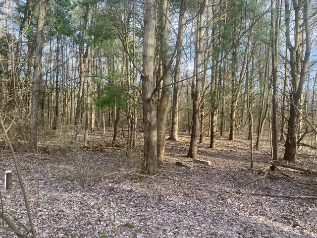 $199,900 | 10005 50th Street, Grand Junction, MI 49056