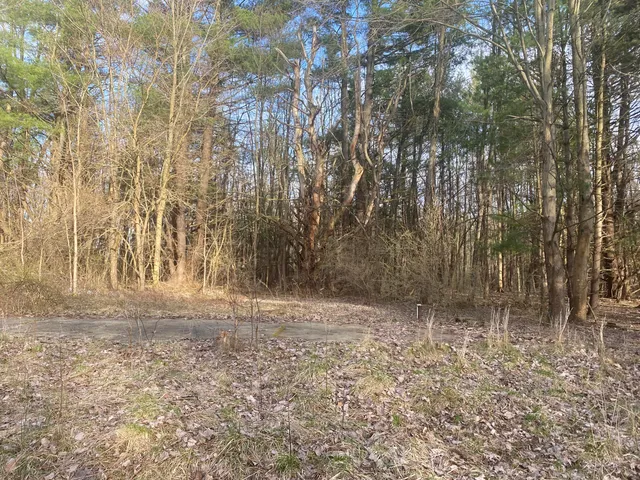 $199,900 | 10005 50th Street, Grand Junction, MI 49056