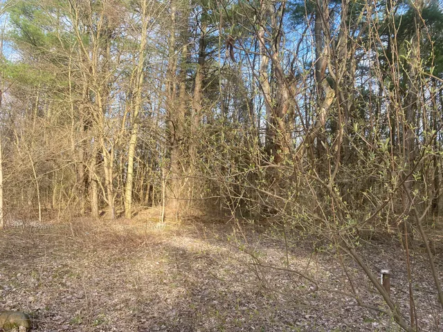 $199,900 | 10005 50th Street, Grand Junction, MI 49056