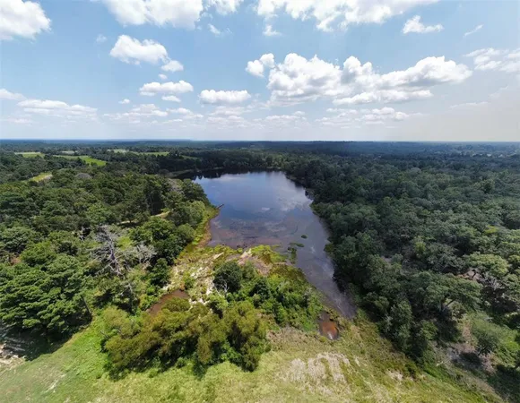 a view of swimming pool with lawn chairs and plants