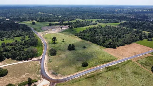 an aerial view of a residential houses with outdoor space and trees