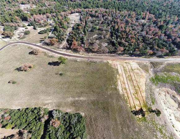 a view of a garden with an outdoor space