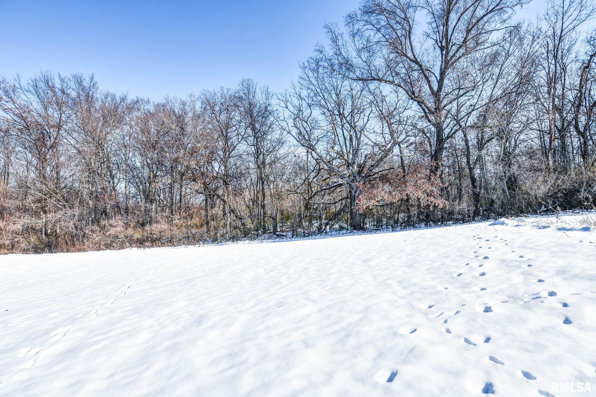 897 East 1320 North Road Taylorville, IL 62568 - Photo 35 of 49