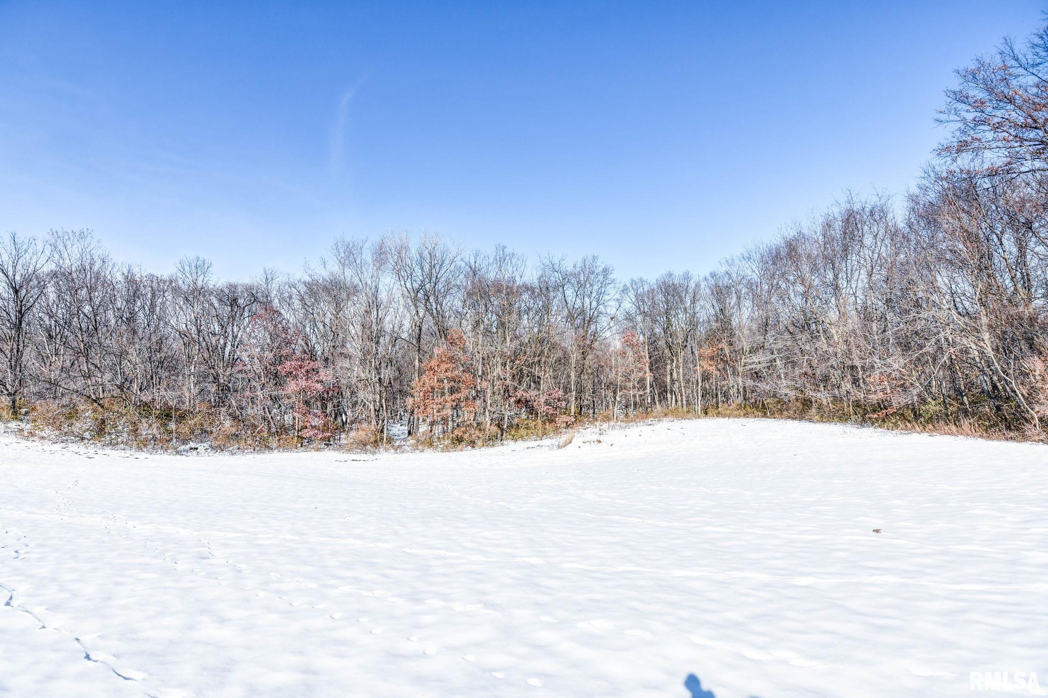 897 East 1320 North Road Taylorville, IL 62568 - Photo 36 of 49