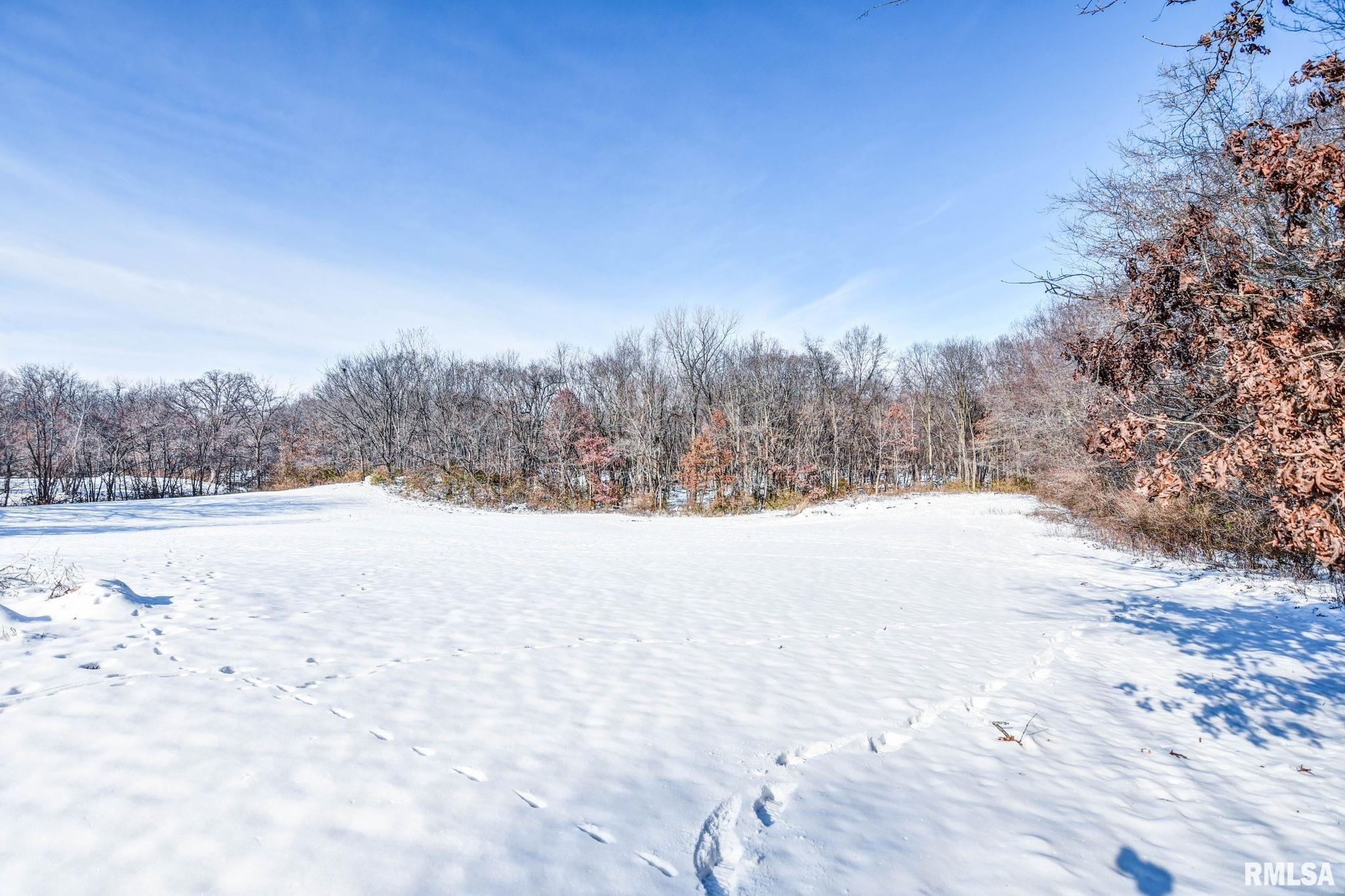 897 East 1320 North Road Taylorville, IL 62568 - Photo 42 of 49