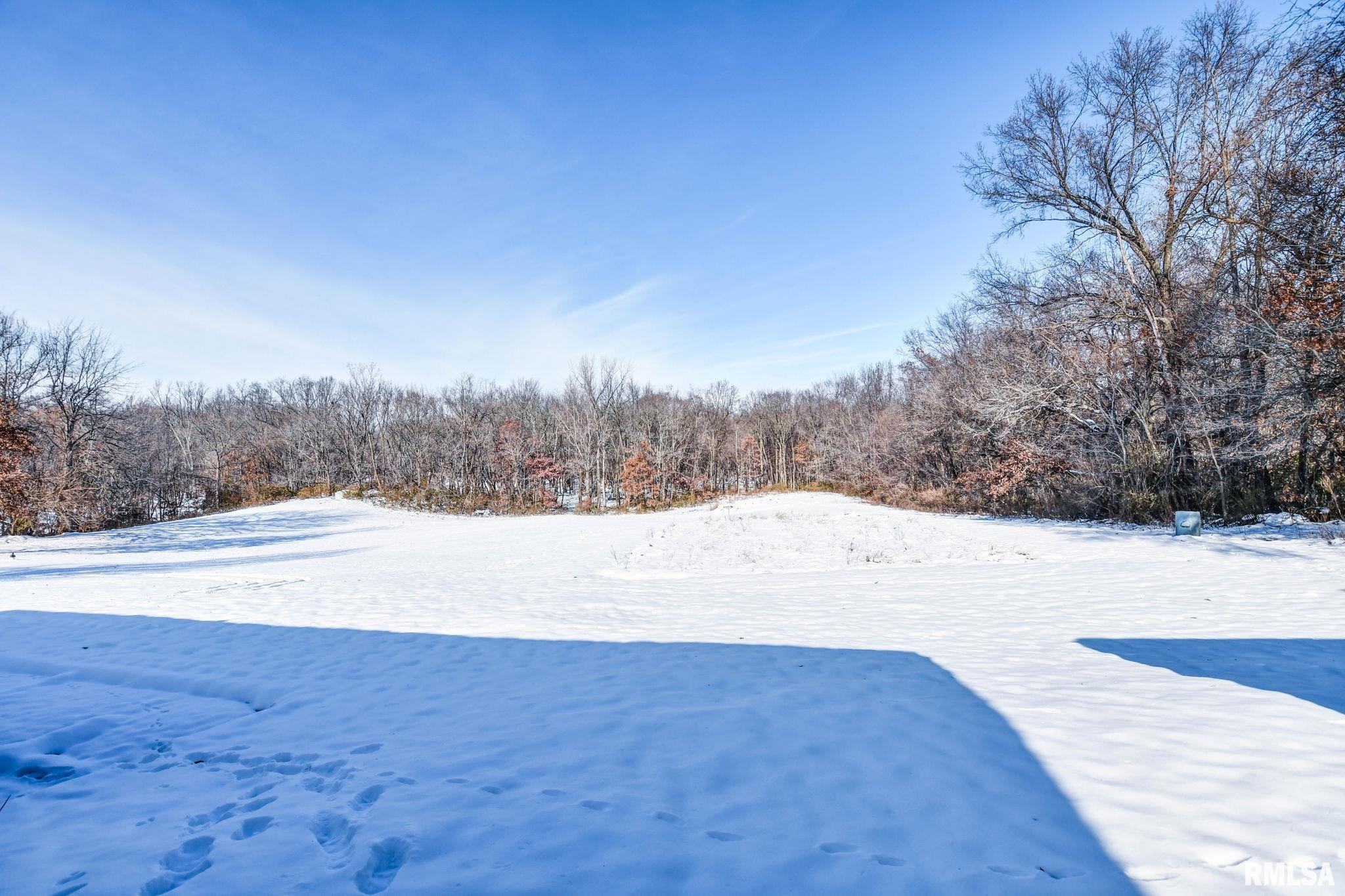 897 East 1320 North Road Taylorville, IL 62568 - Photo 43 of 49