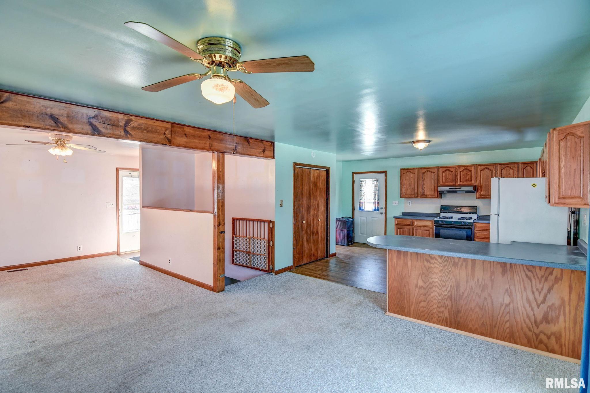 897 East 1320 North Road Taylorville, IL 62568 - Photo 9 of 49