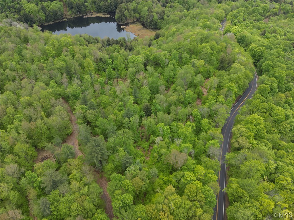 0 Hawkinsville Road Woodgate, NY 13494 - Photo 3 of 27