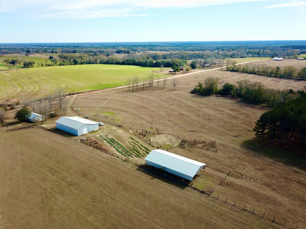 998 Sander Spur Road Slocomb, AL 36375 - Photo 34 of 69