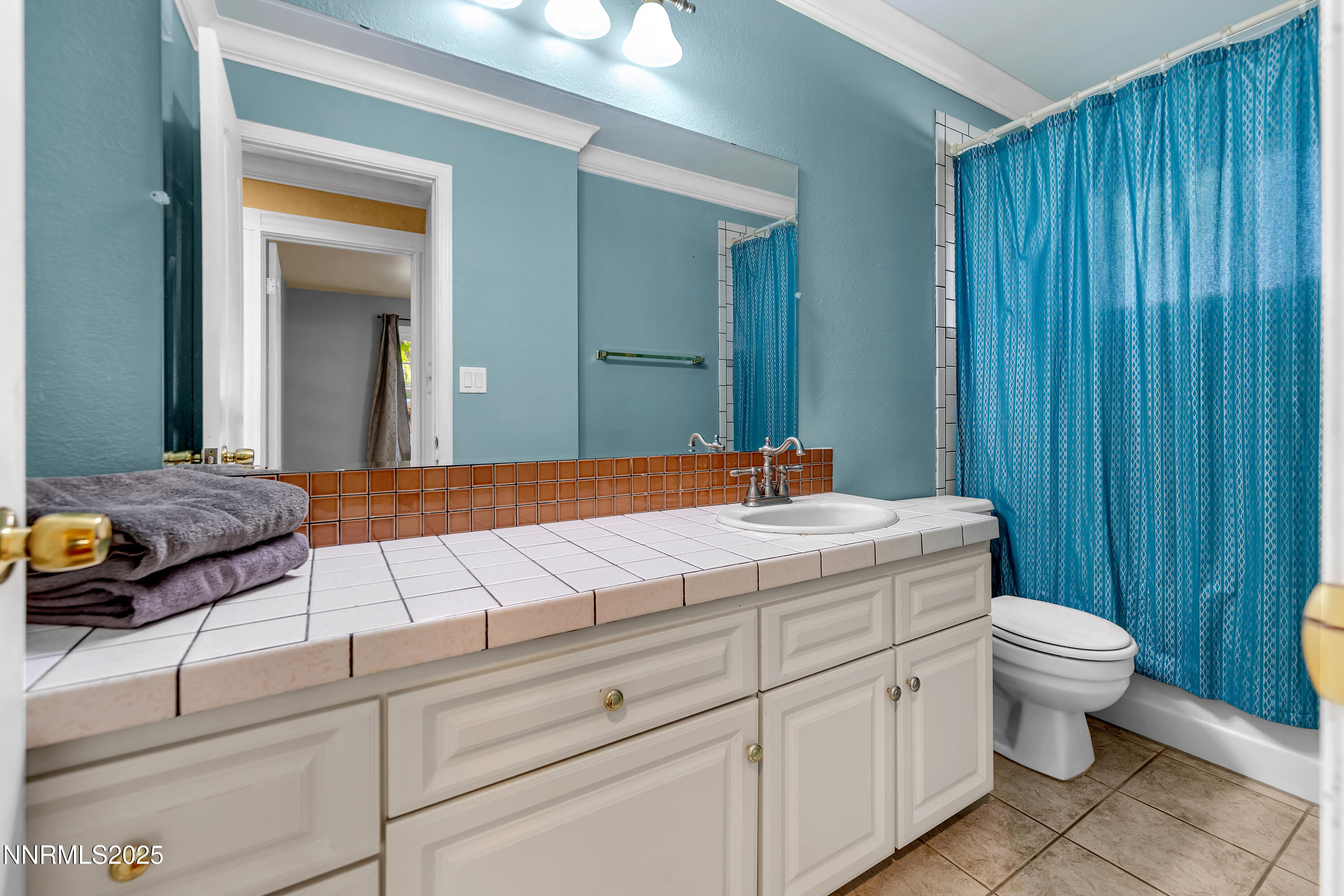 2835 Parkway Drive Reno, NV 89502 - Photo 27 of 39 a bathroom with a toilet a sink and mirror