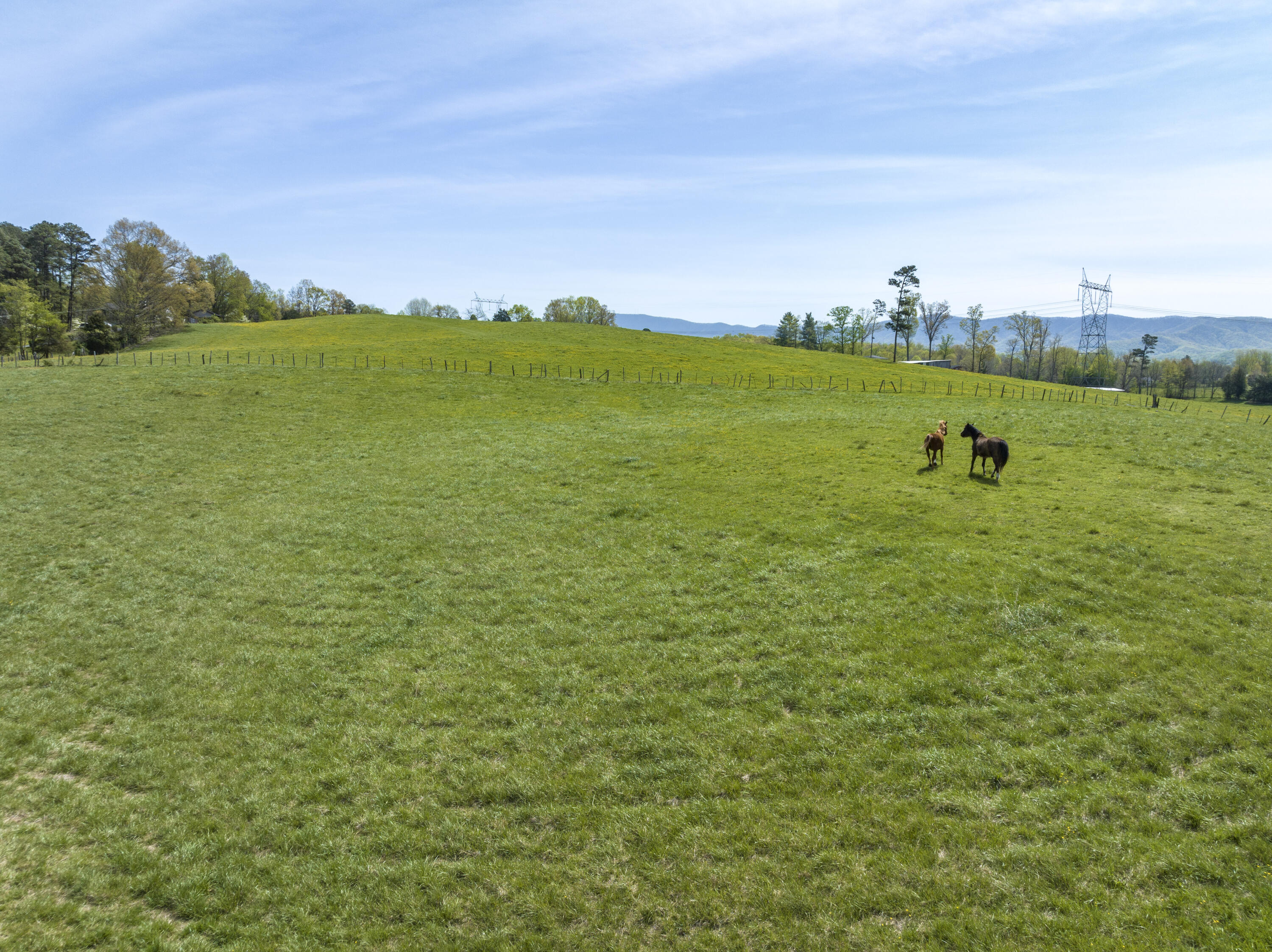 277 Walnut Grove Road Bluff City, TN 37618 - Photo 27 of 33 WalnutAerials-27