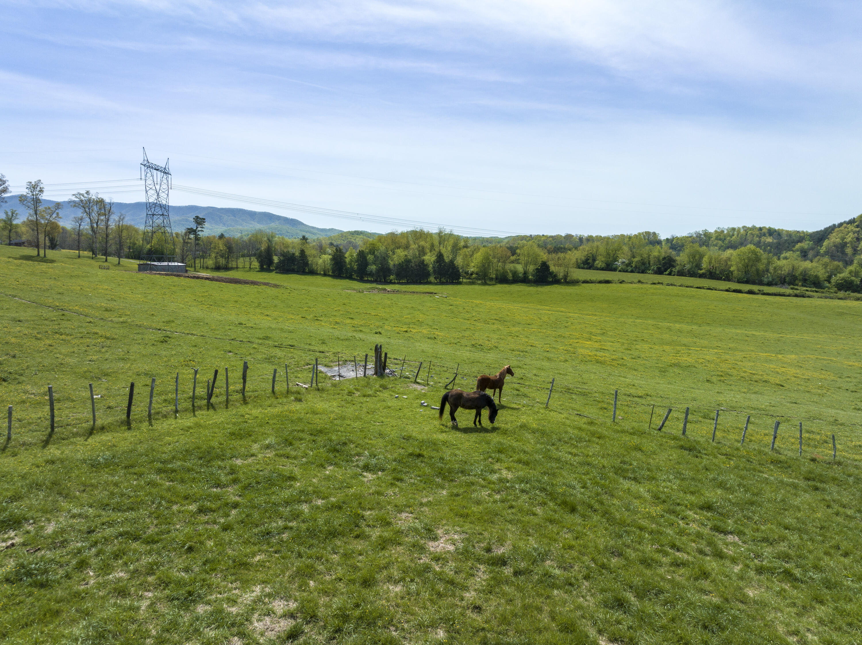 277 Walnut Grove Road Bluff City, TN 37618 - Photo 28 of 33 WalnutAerials-28