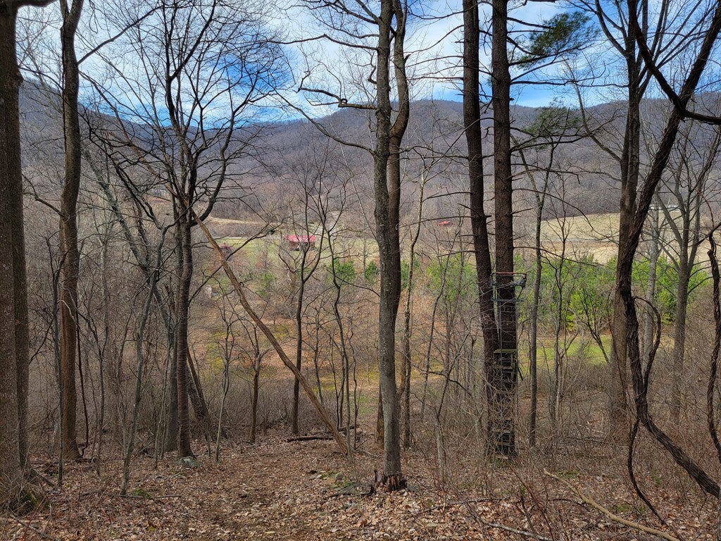 12306 Callaway Road Callaway, VA 24067 - Photo 21 of 53 Gallery Image 21