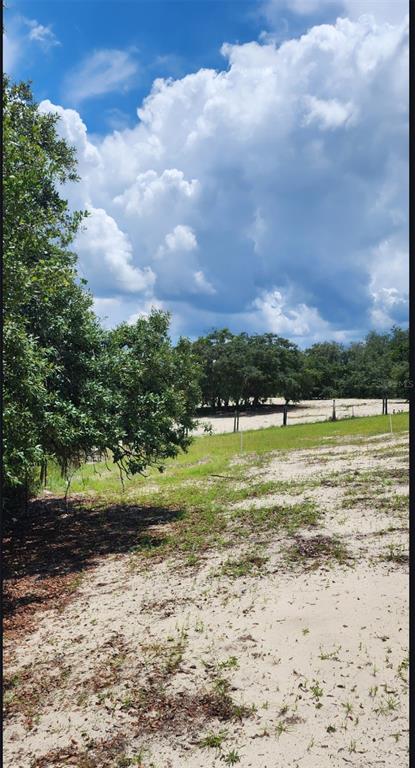 562 Libby Road Babson Park, FL 33827 - Photo 30 of 42