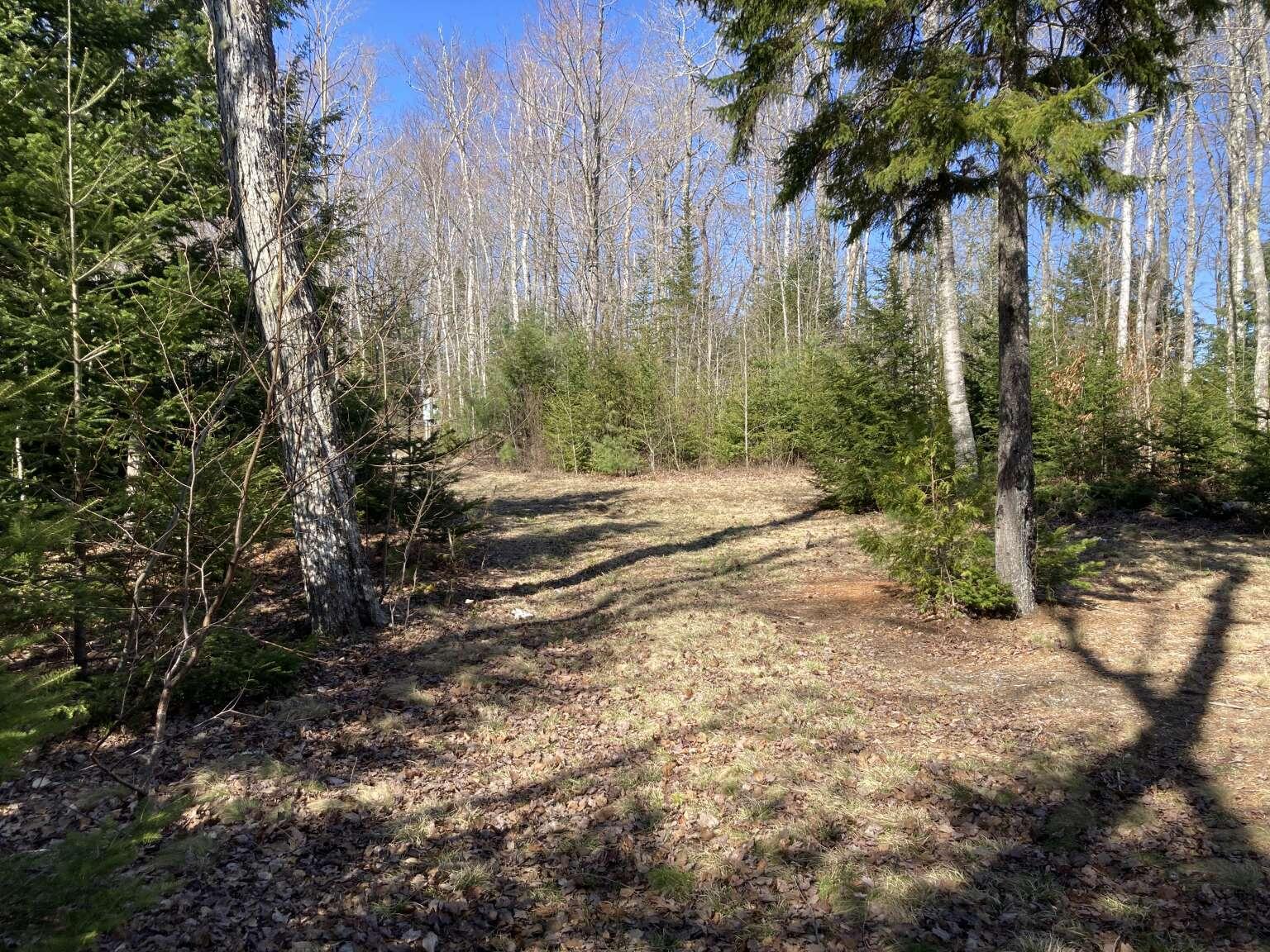 242 Tannery Brook Road Mariaville, ME 04605 - Photo 19 of 20