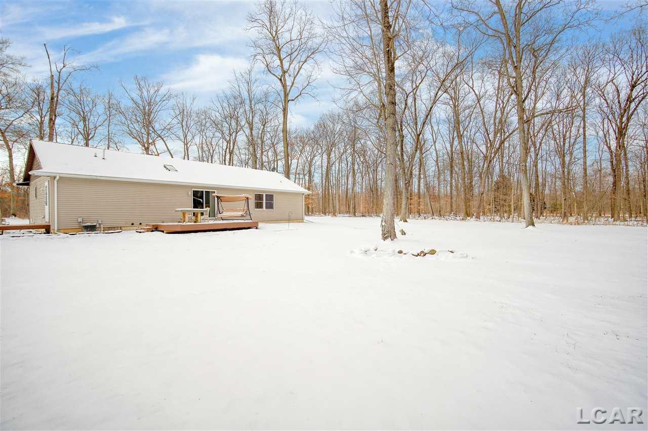 15990 Howard Road Homer, MI 49245 - Photo 39 of 43 Gallery Image 39