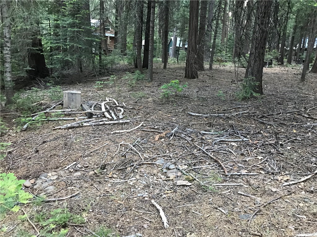 0 Pot Hole Forest Ranch, CA 95942 - Photo 5 of 12 Gallery Image 5