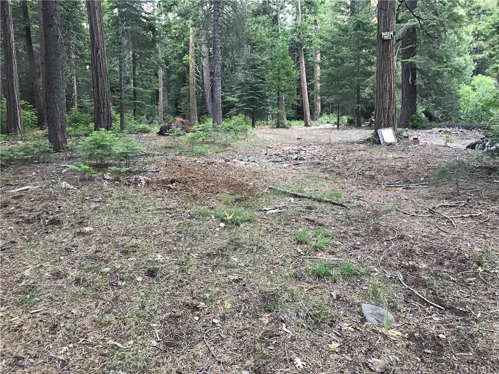 0 Pot Hole Forest Ranch, CA 95942 - Photo 6 of 12 Gallery Image 6