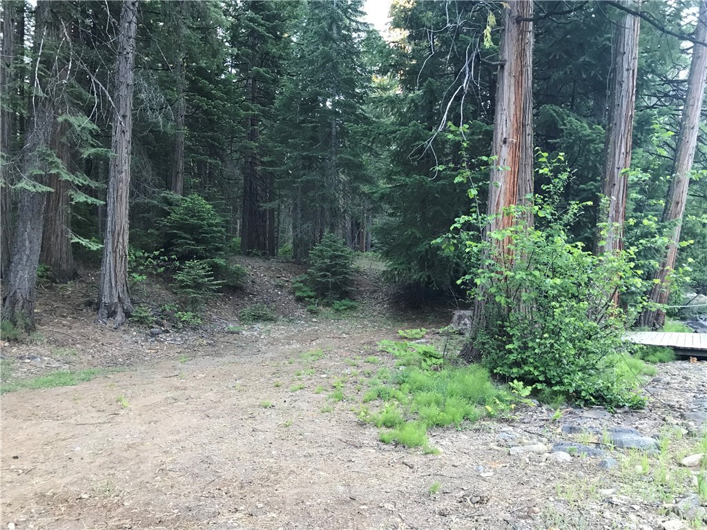 0 Pot Hole Forest Ranch, CA 95942 - Photo 9 of 12 Gallery Image 9
