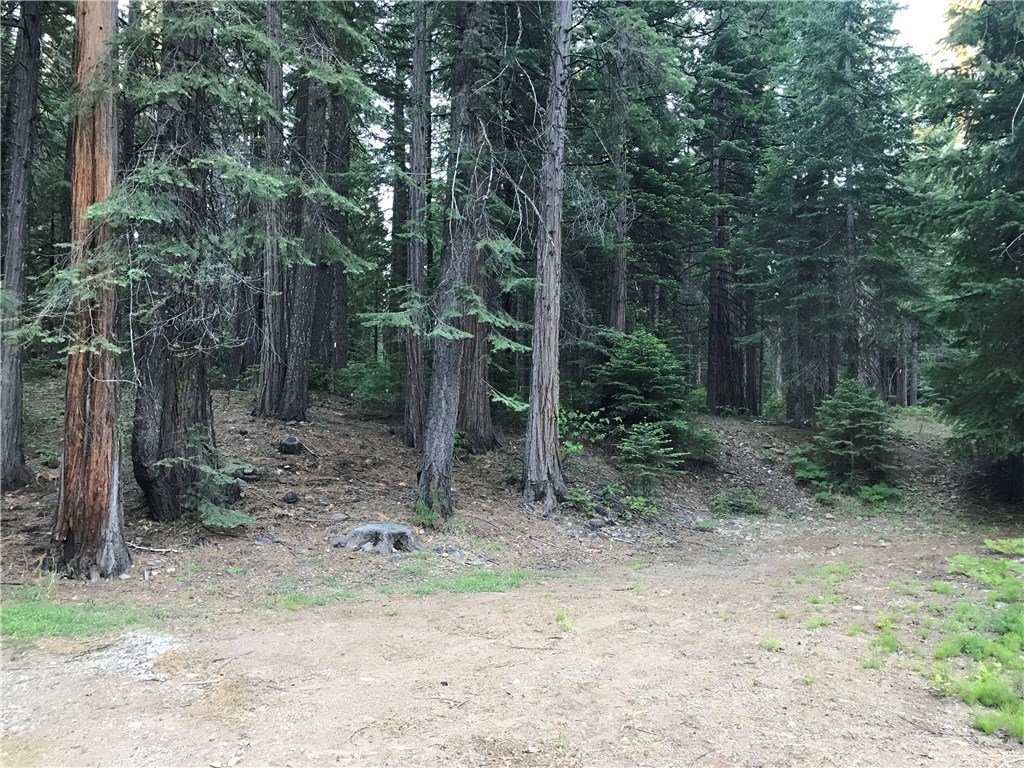 0 Pot Hole Forest Ranch, CA 95942 - Photo 10 of 12 Gallery Image 10