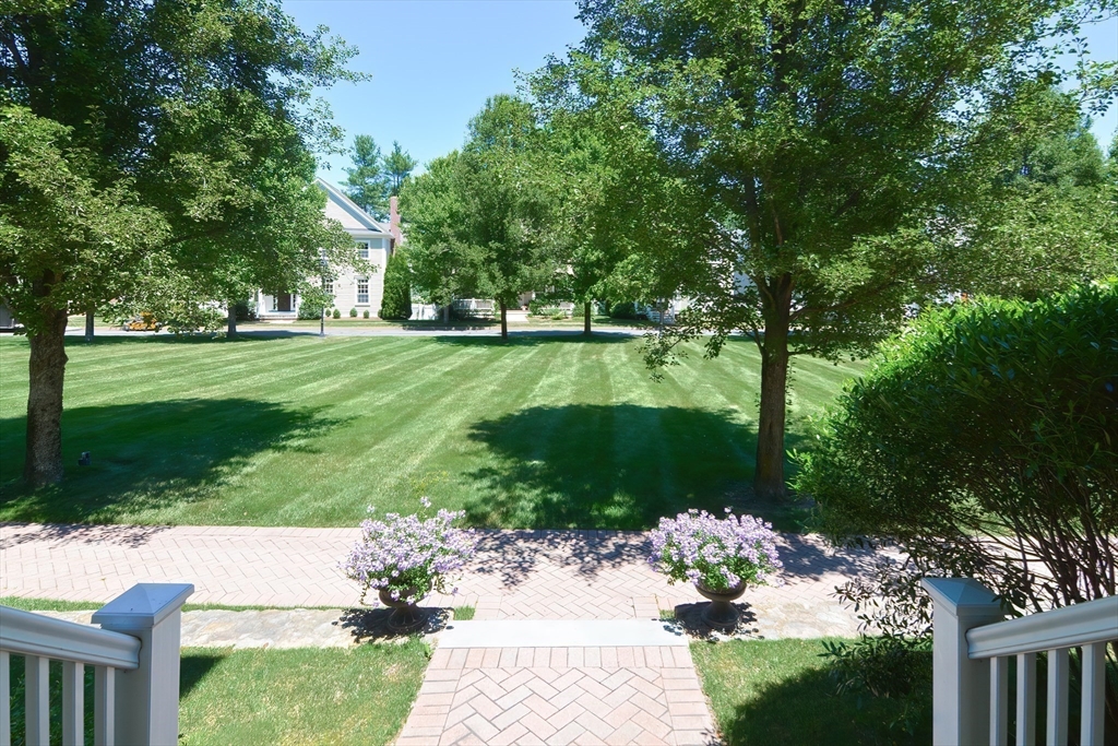 29 Maple Lane, Unit 29 Medfield, MA 02052 - Photo 39 of 42 a view of a garden with a bench