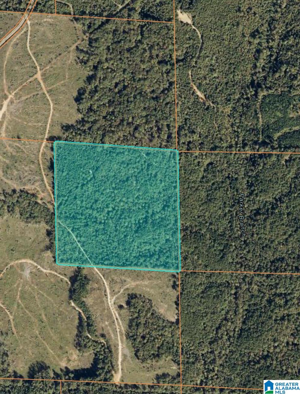 0 County Road 93 Jones, AL 36749 - Photo 2 of 3
