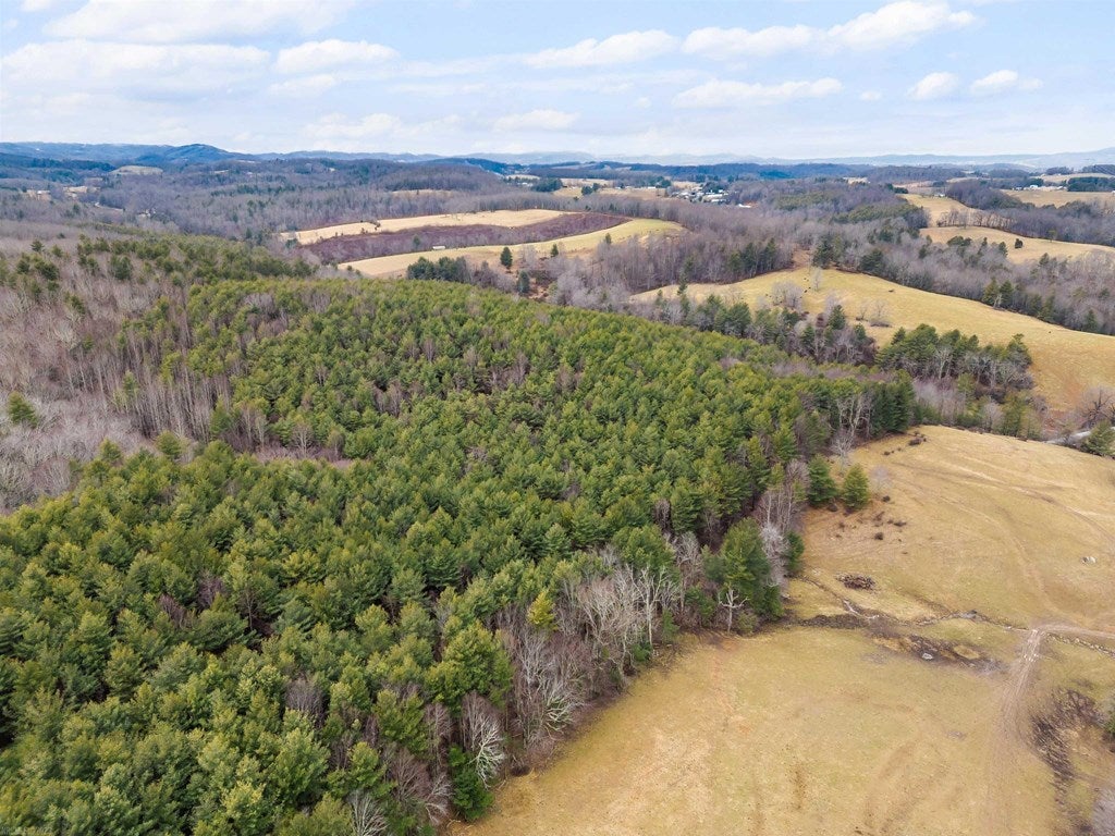 1055 Epperly Mill Road Southwest, Unit 185 & 186 Floyd, VA 24091 - Photo 30 of 31 Gallery Image 30