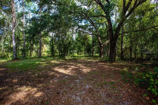 $200,000 | 14865 Southwest 92nd Way, Lake Butler, FL 32054