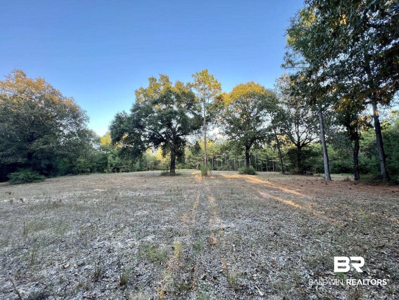 0 Howell Drive Mount Vernon, AL 36560 - Photo 32 of 50